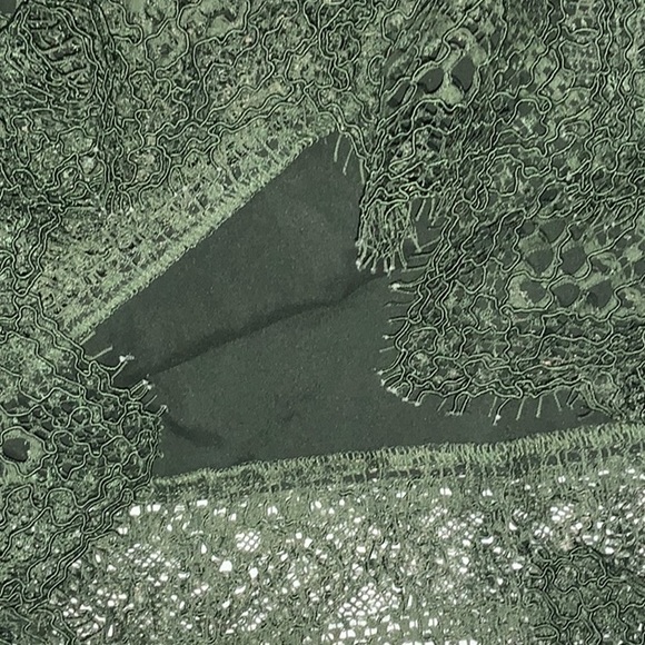 NWT Banana Republic Olive Green Lace Pencil Skirt - Size 4 - Picture 4 of 8